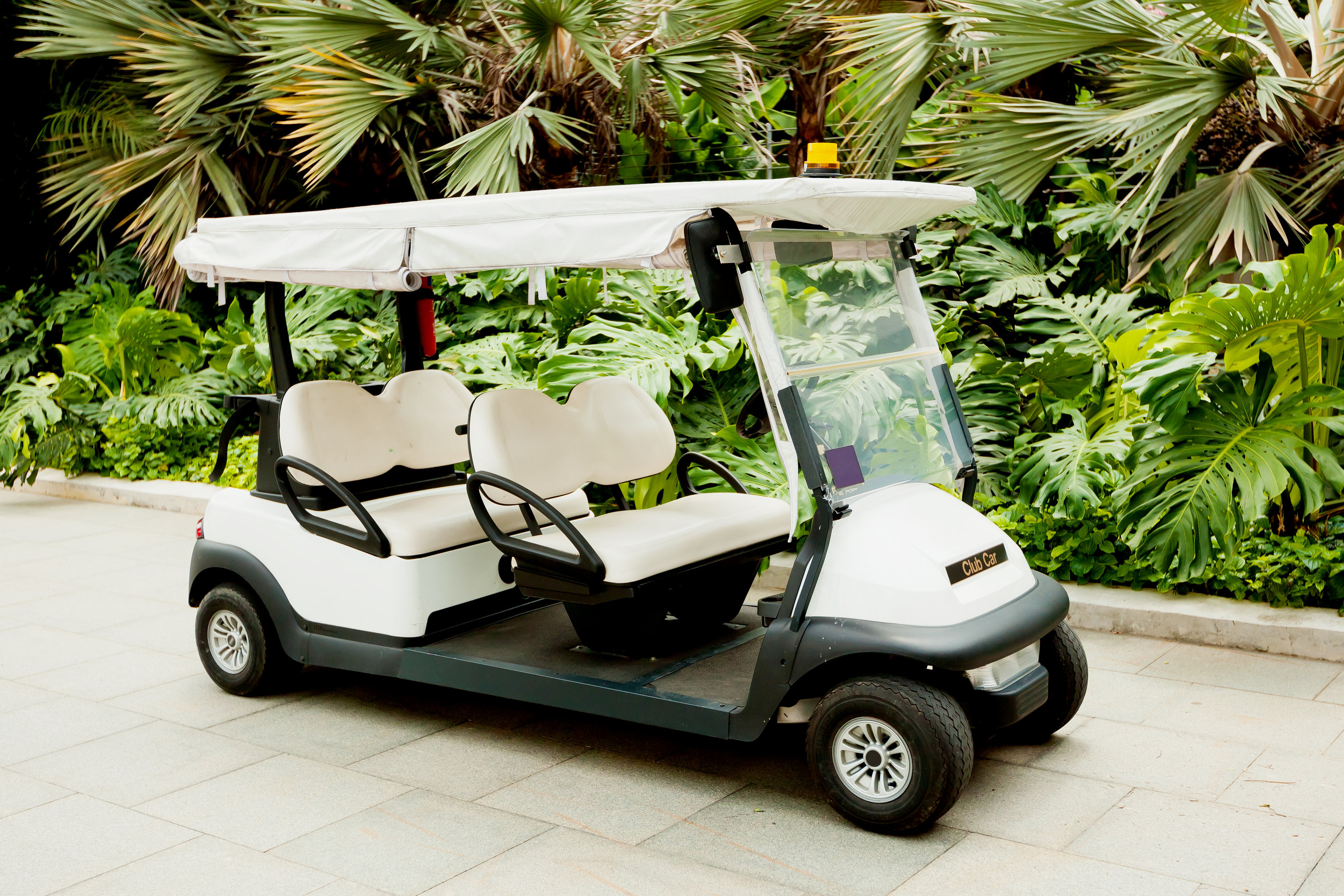 4 Seat Golf Cart - Make Room for Passengers or for Hauling Stuff