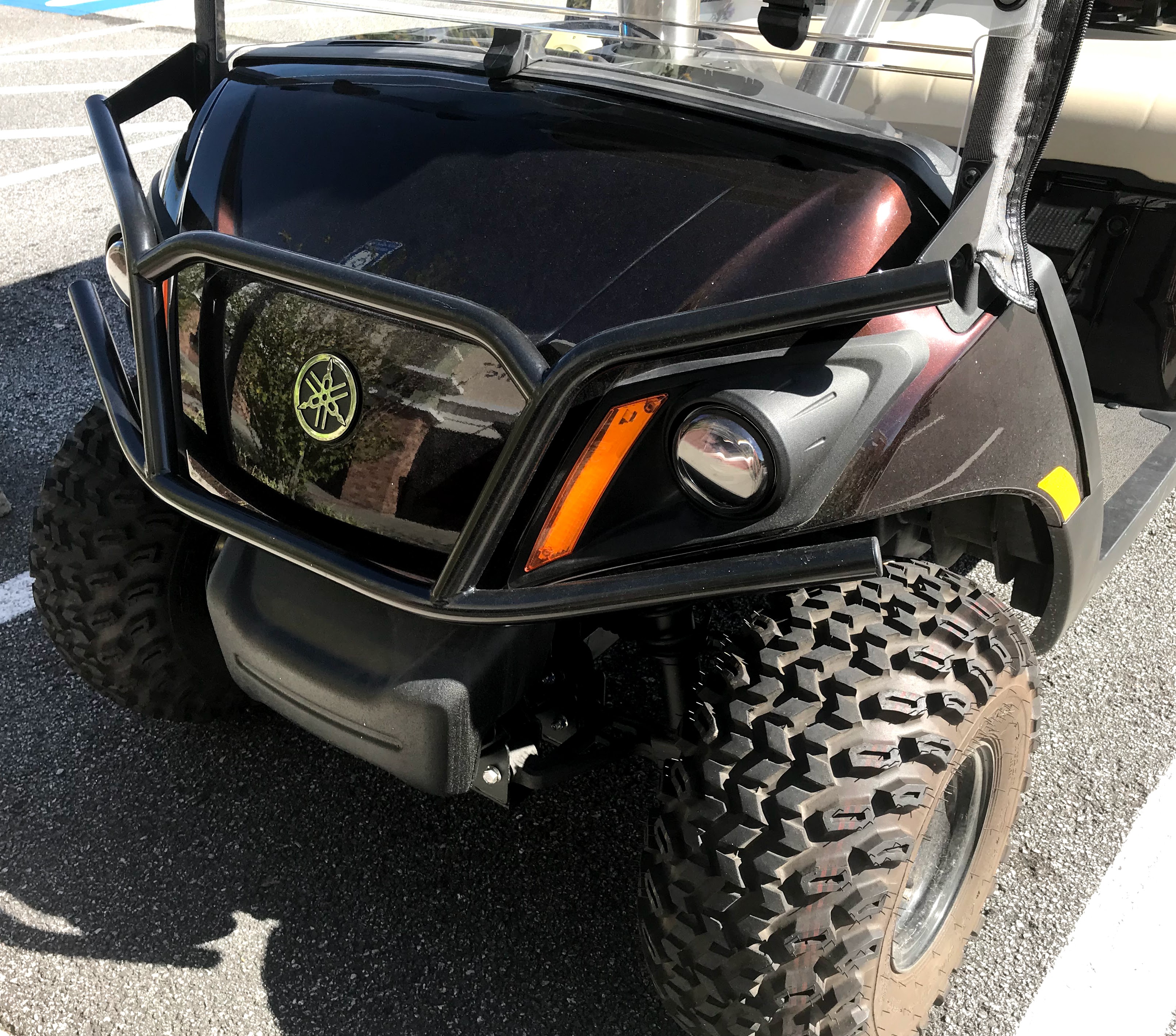 Yamaha golf cart brush guard