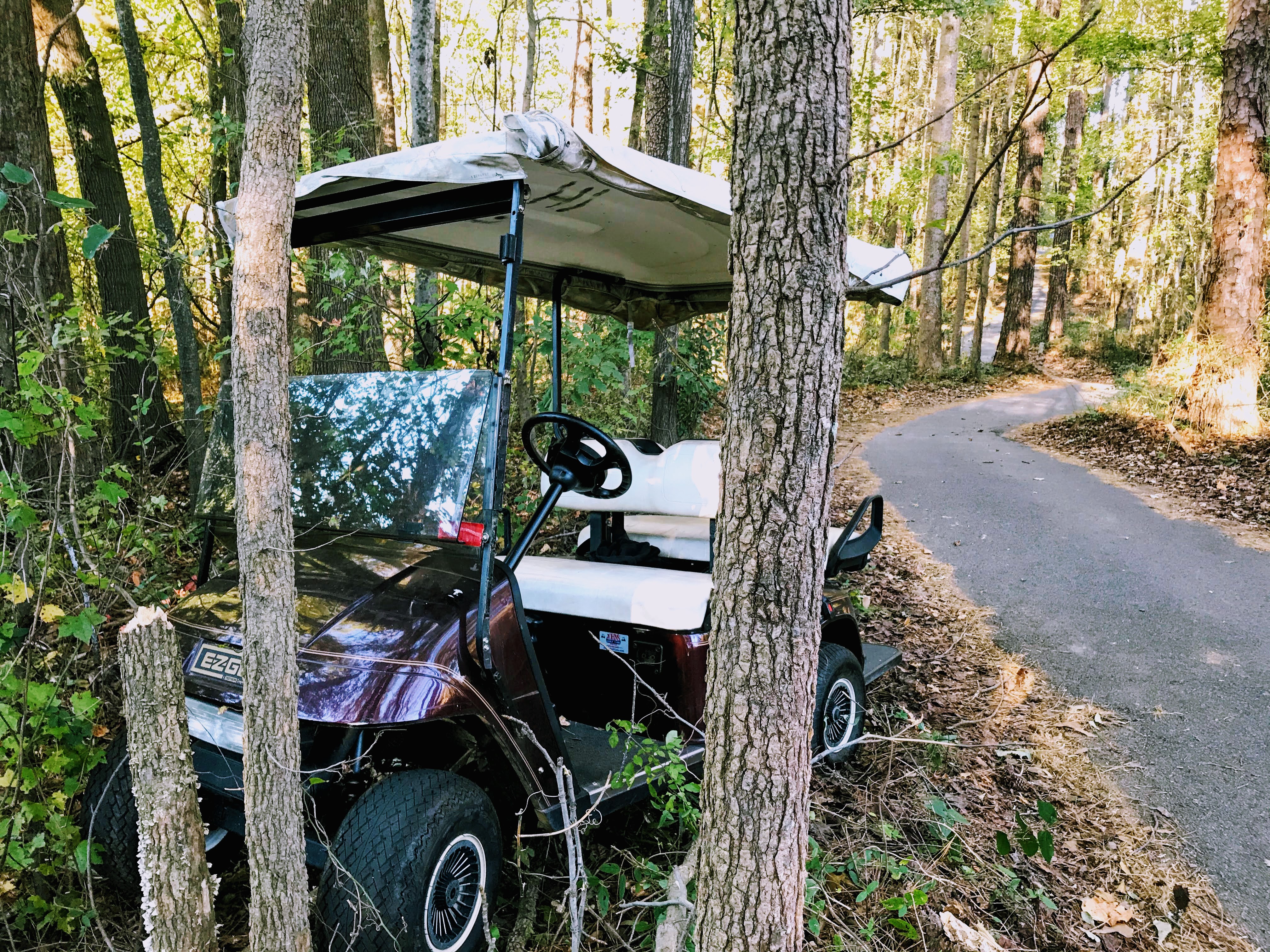 golf cart accidents