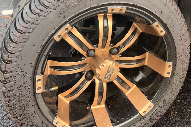 SS golf cart wheel with center cap