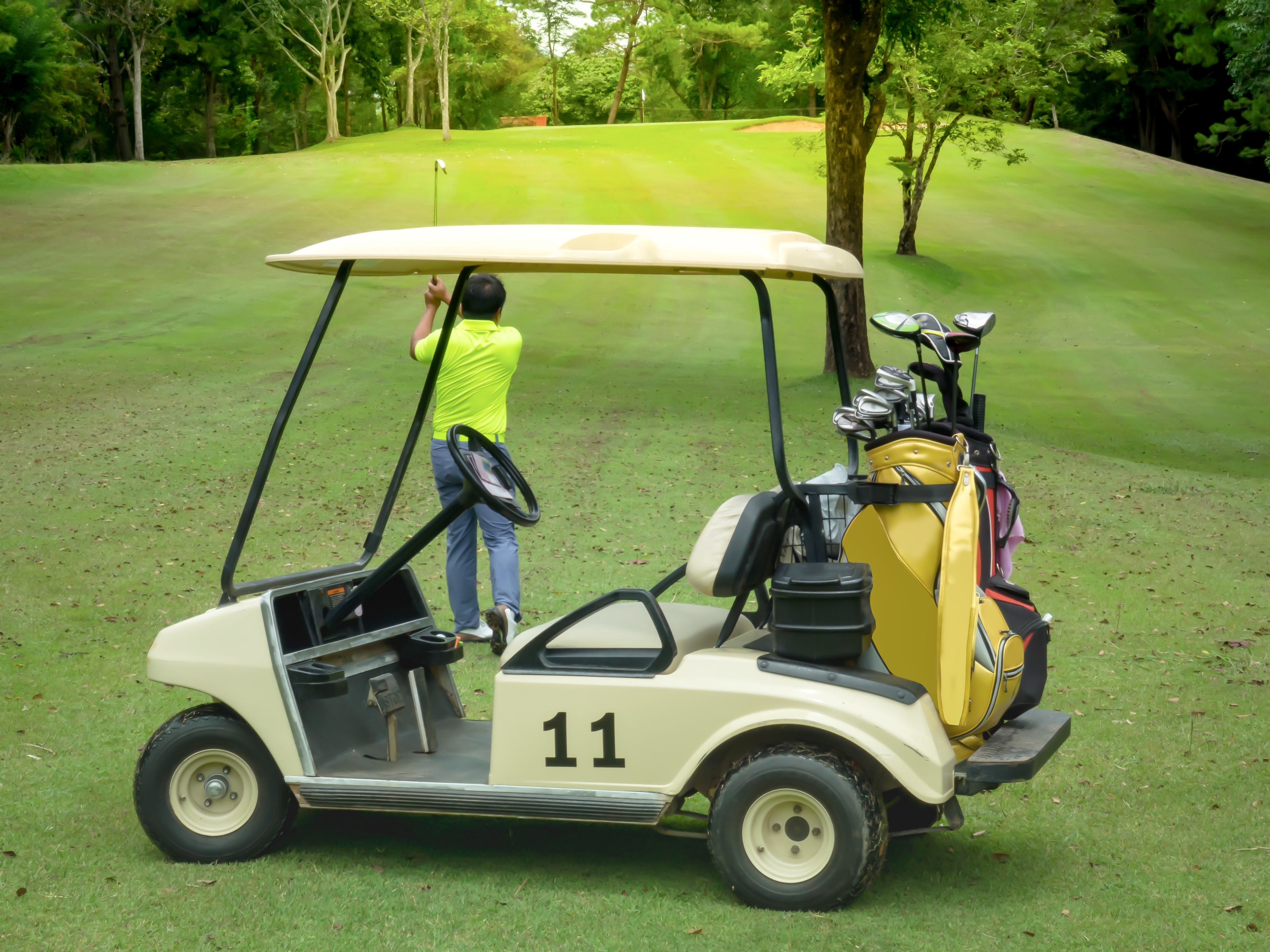 gas vs electric golf cart