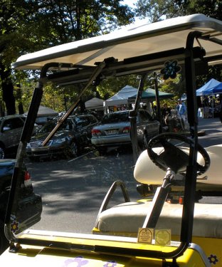golf cart windshield