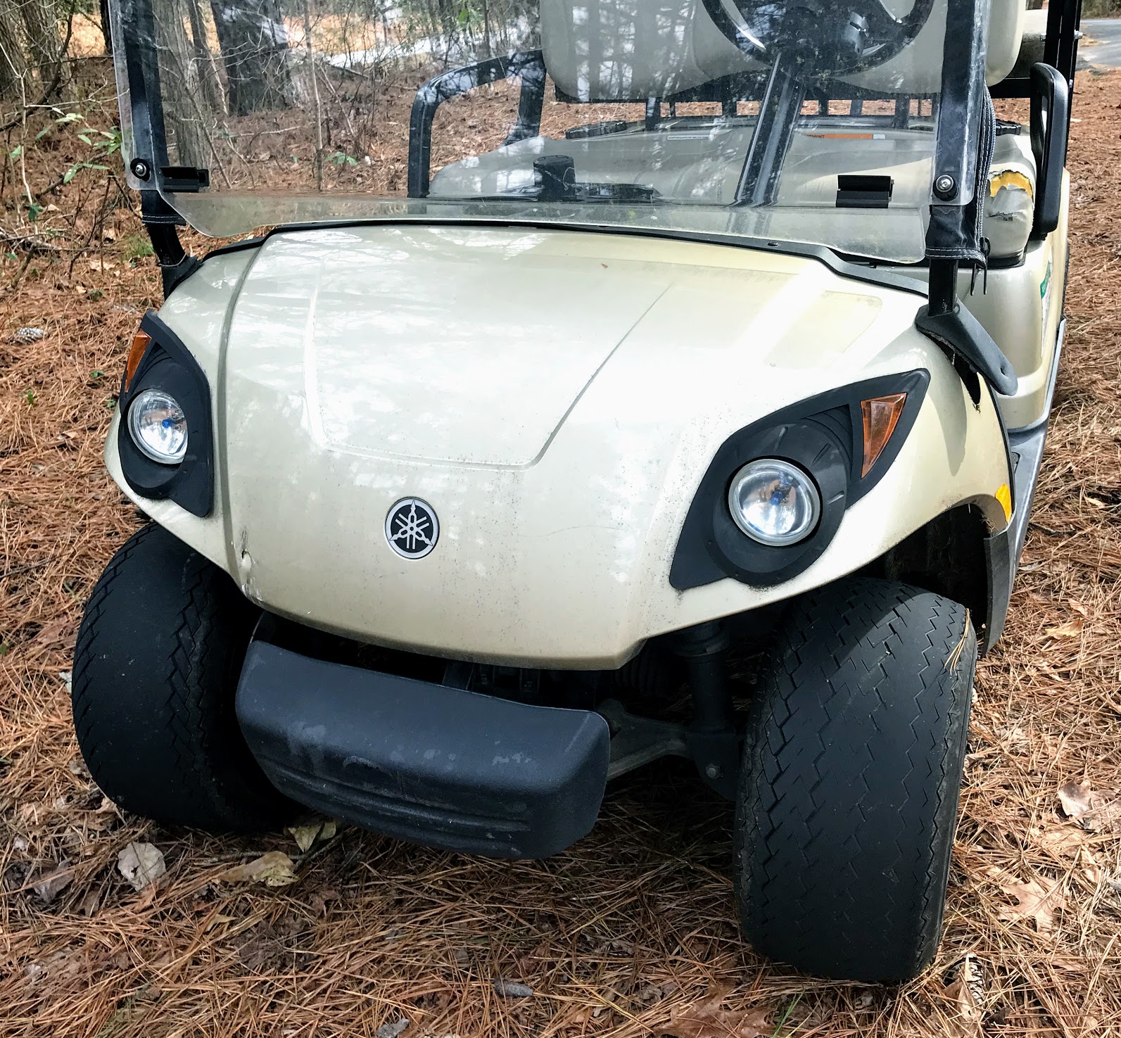 Yamaha golf cart